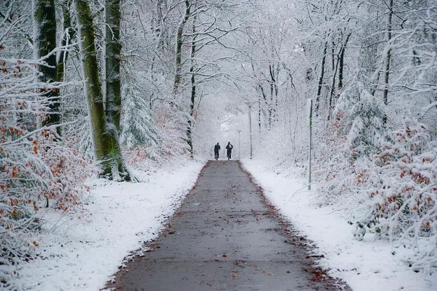 How Cold Is Too Cold to Ride a Bike?