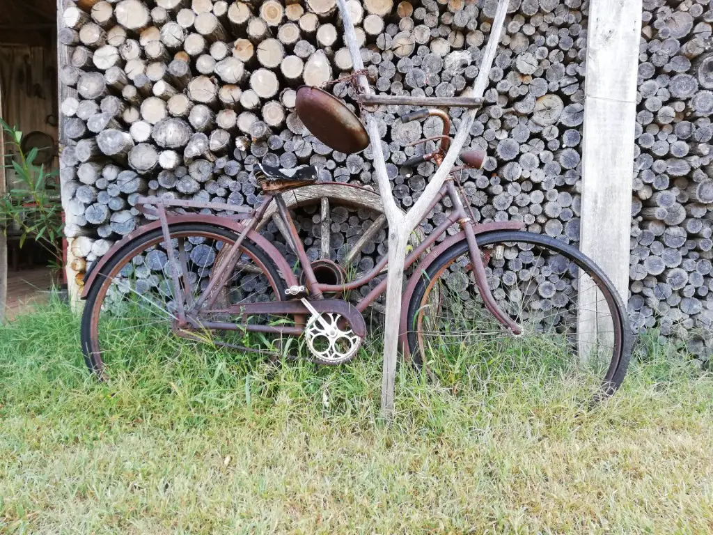 What is the Lifespan of a Bicycle? And 5 Simple Ways to Make It Longer