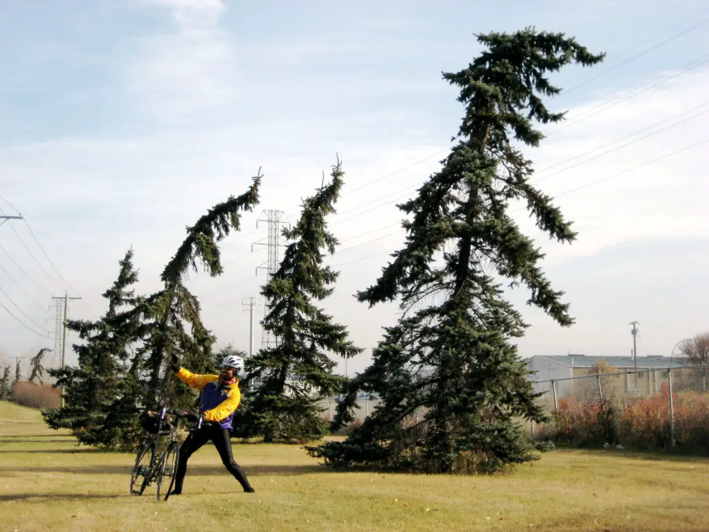 How Much Wind Is Too Much To Ride Your Bike?
